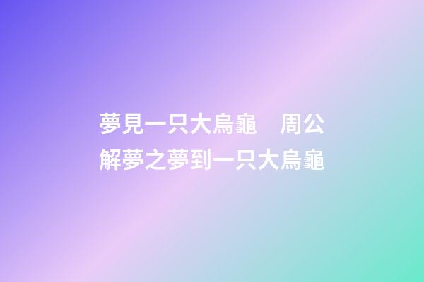 夢見一只大烏龜　周公解夢之夢到一只大烏龜